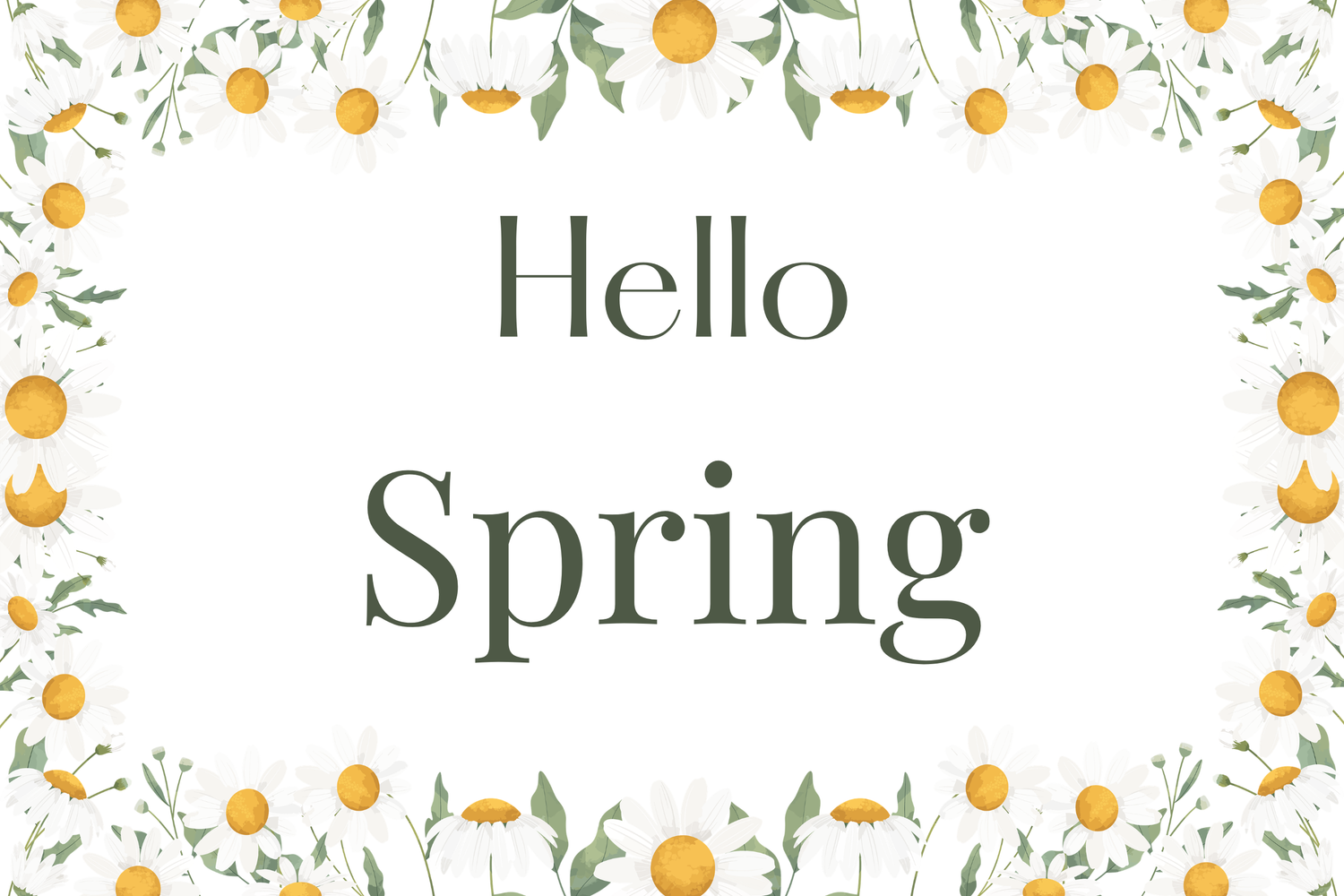 The words hello spring sitting in the middle of white daisies 